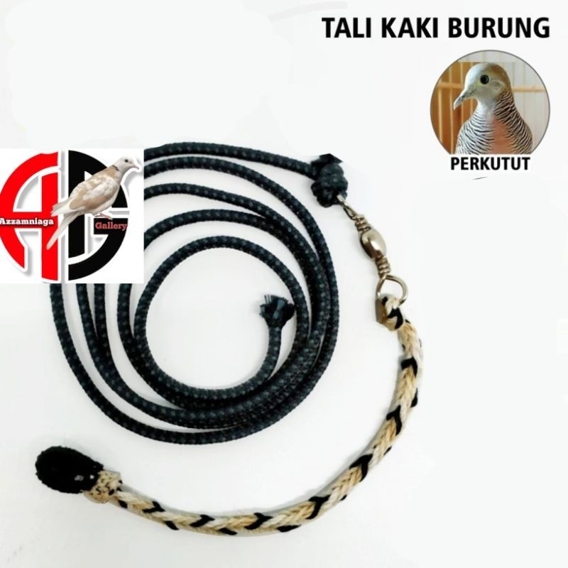 TALI KAKI BURUNG PERKUTUT | SEMPATI | TALI KAKI  PERKUTUT RACIK PERKUTUT  PANJANG 35 CM