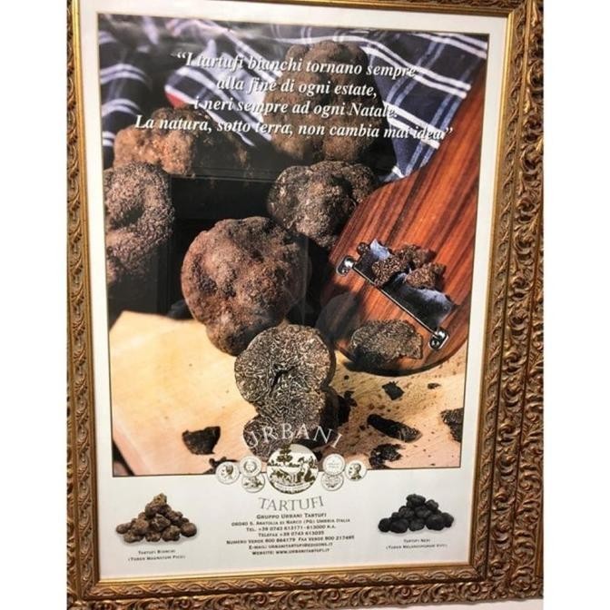 

ala Bosco Truffle Paste Tartufata Black Truffle 500 GR URBANI