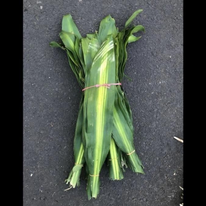 

Model baru - Daun Andong Flat