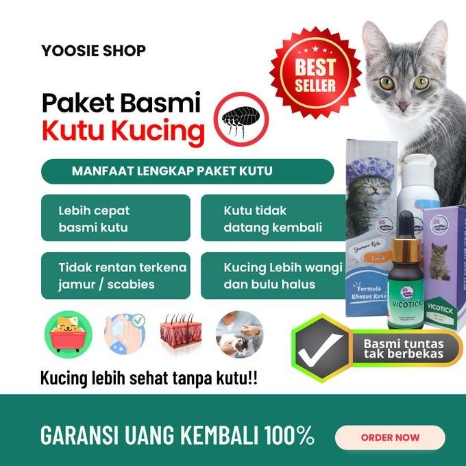 Paket Basmi Kutu Kucing  Vicocat Shampo Kutu Kucing Obat Kutu Kucing