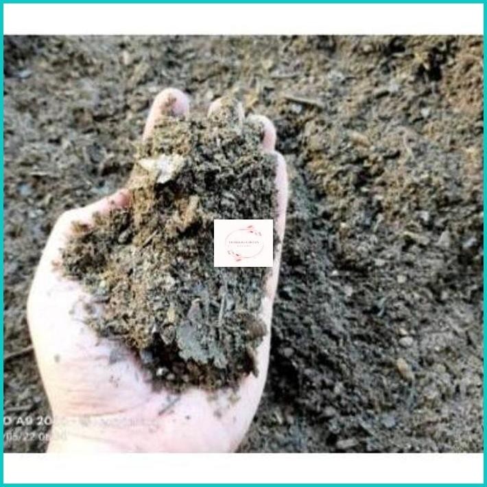 Kompos Daun Trembesi Fermentasi