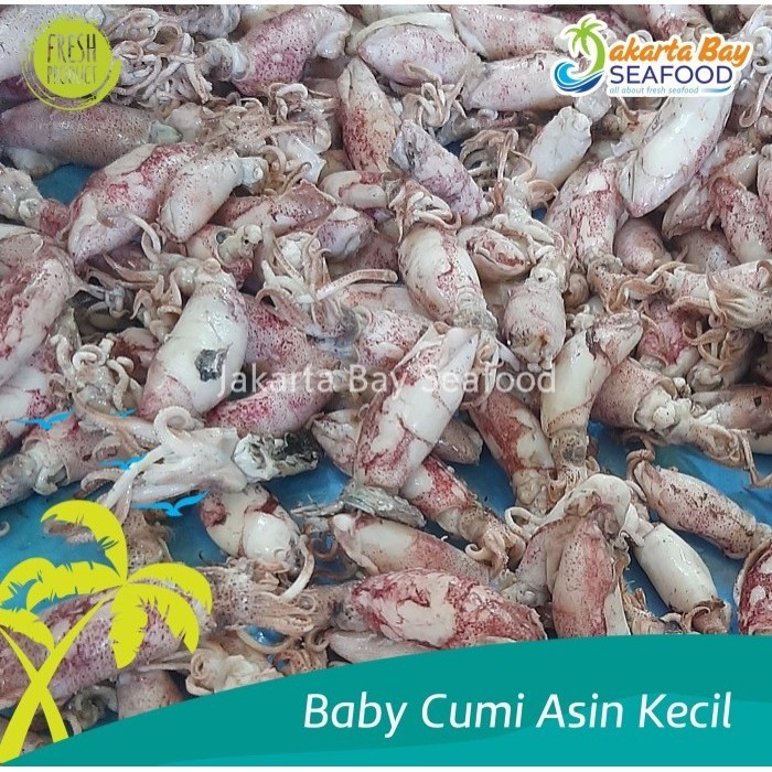 

Baby Cumi Asin Kecil Kering 70% Untuk Sambal Baby Cumi 1 Kg