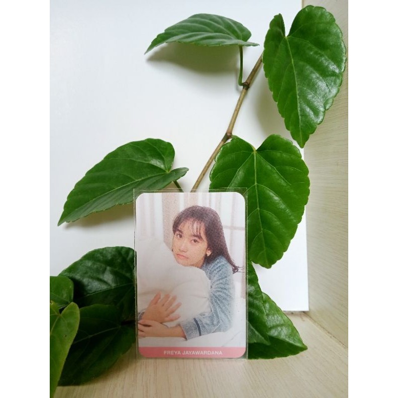 photocard JKT48 FREYA the morning call