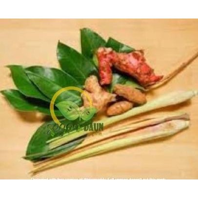 

BUMBU REMPAH DAPUR 1 PAKET LANGKOK