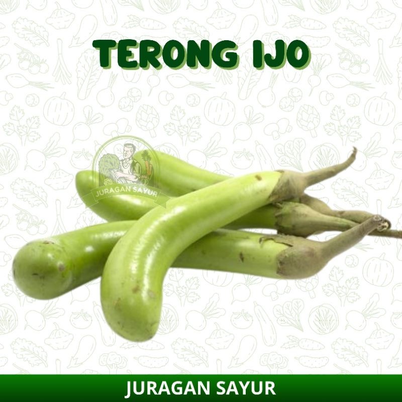 

TERONG HIJAU