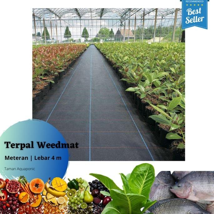 Special - Weedmat Control Mulsa Anti Rumput Easy Grow Lebar 4 Meter - Hitam ~