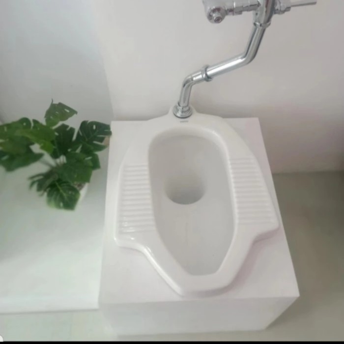 CLOSET JONGKOK TOTO CE9 FLUSH VALVE