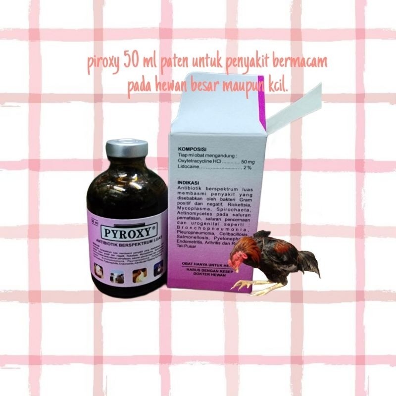 Piroxy 50 ml obat sakit ayam burung merpati sakit crd nd radang spt medoxy la