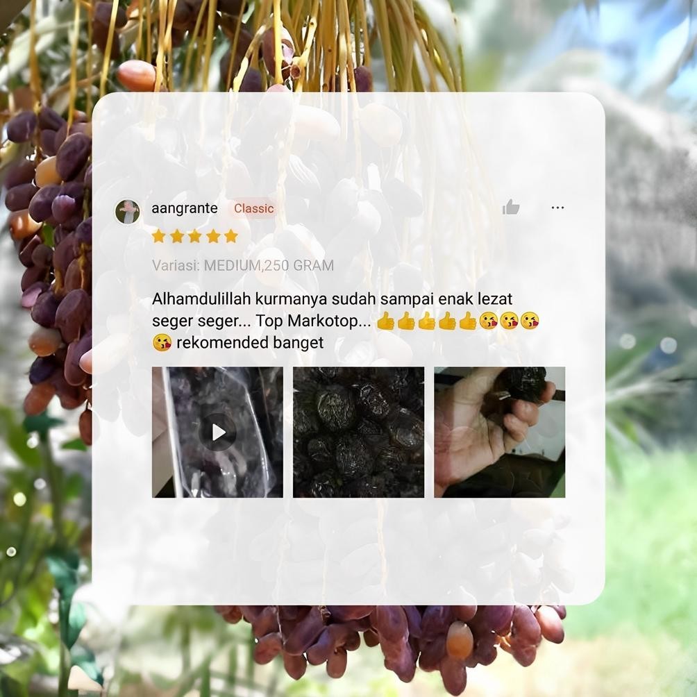 

POJ Al Mar'ie Kurma Ajwa Original Dates of Ajwa TERLARIS