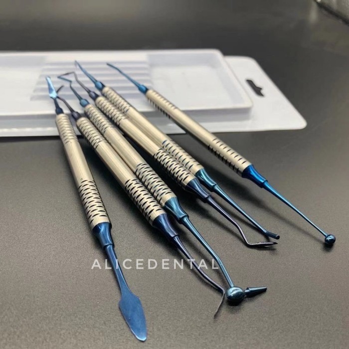 SET DENTAL PLASTIK PLASTIS FILLING INSTRUMENT TEFLON INSTRUMEN GIGI