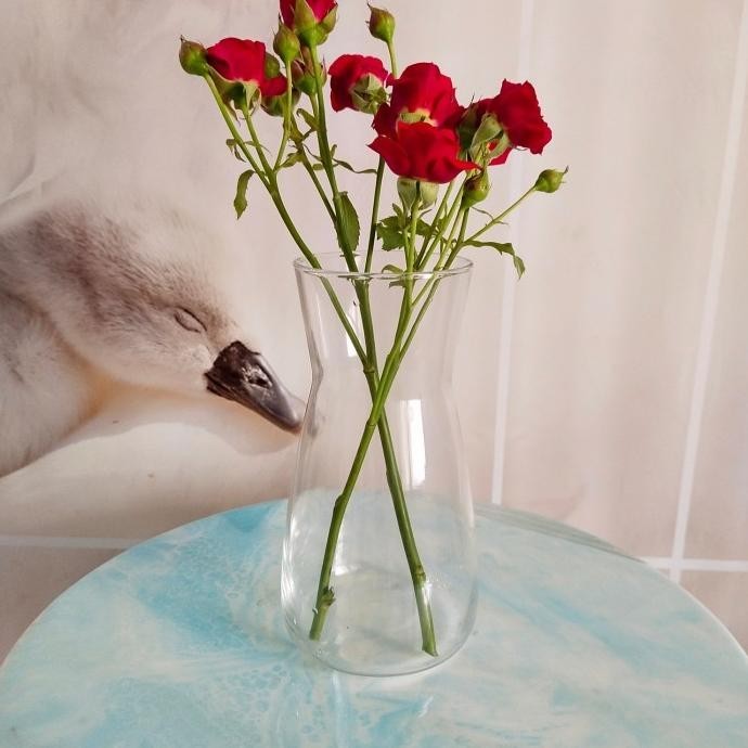 Vas Kaca tinggi 20 cm / Vas Bunga Kaca HC