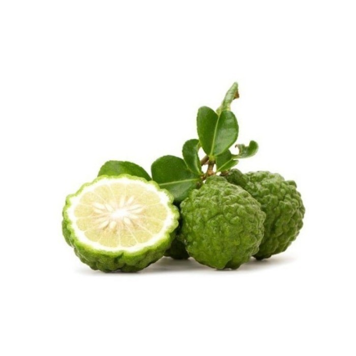;; Bibit Jeruk Purut Tanaman Buah Jeruk Purut Pohon Jeruk Purut Daun ASLI