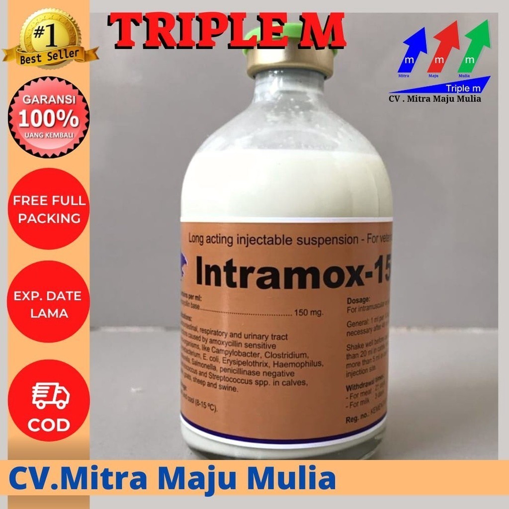 Harga INTRAMOX-150 Terbaru Mar 2025 | BigGo Indonesia