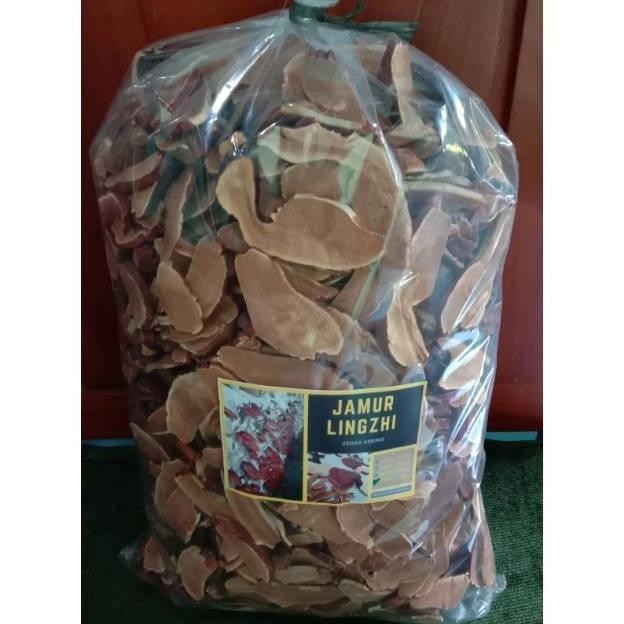 

omahijoofficial Jamur Lingzhi Siap Seduh 1 ons