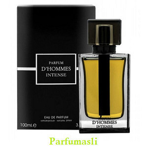 Fragrance World DS Men Edp 100Ml