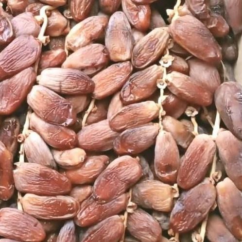 

Kurma Tunisia Tangkai Curah 1Kg New