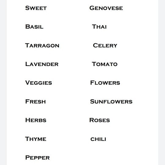 

Stencil Custom Tulisan