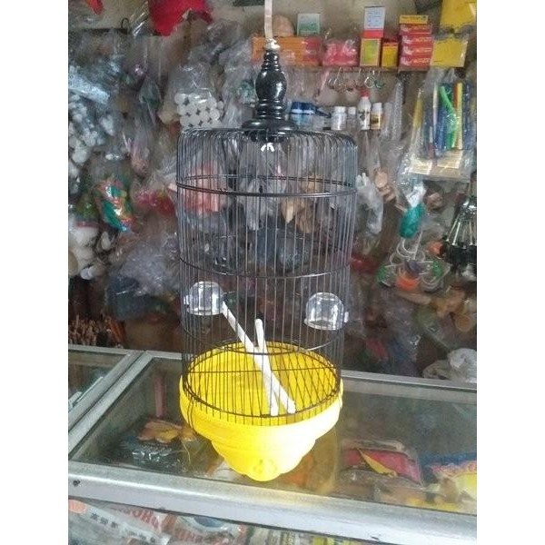 SANGKAR BESI TEBOK KAKI PLECI BURUNG KECIL MERK BOOM SATU SET ORI