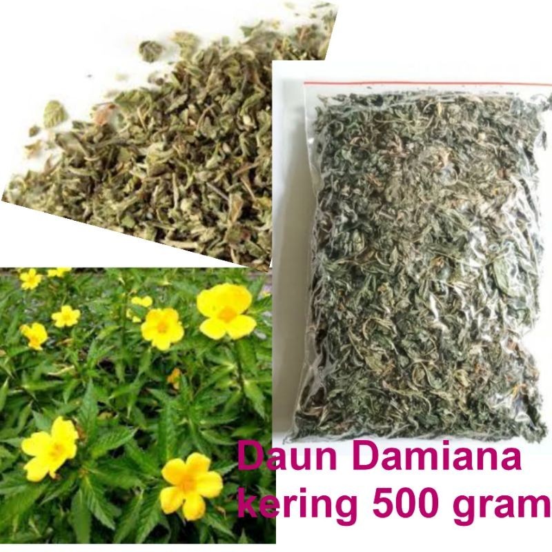 

DAUN DAMIANA KERING 500 GRAM