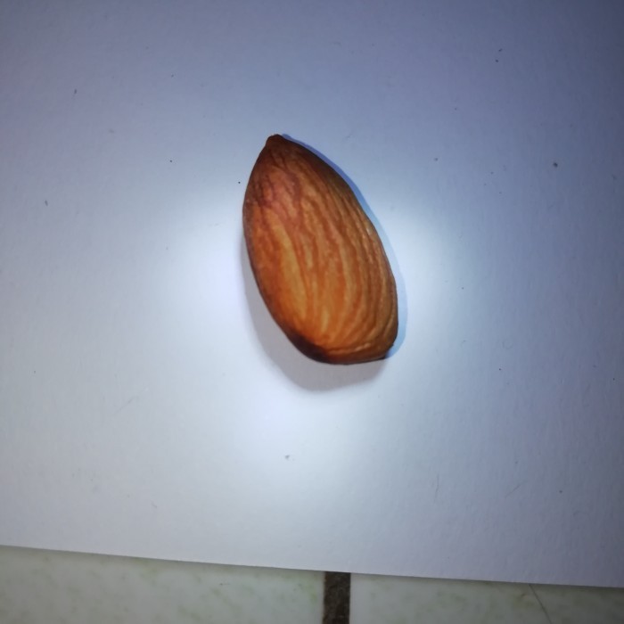 

TERBATAS Blue Diamond Kacang Almond Butte / Kacang Almond Panggang butte 1kg