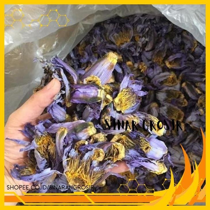 

INSOMNIA / DRIED BLUE LOTUS / BUNGA LOTUS BIRU FRESH