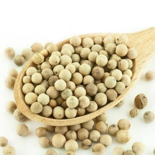 

Victory Seed Biji Merica Lada Putih (Isi 5 Gram)