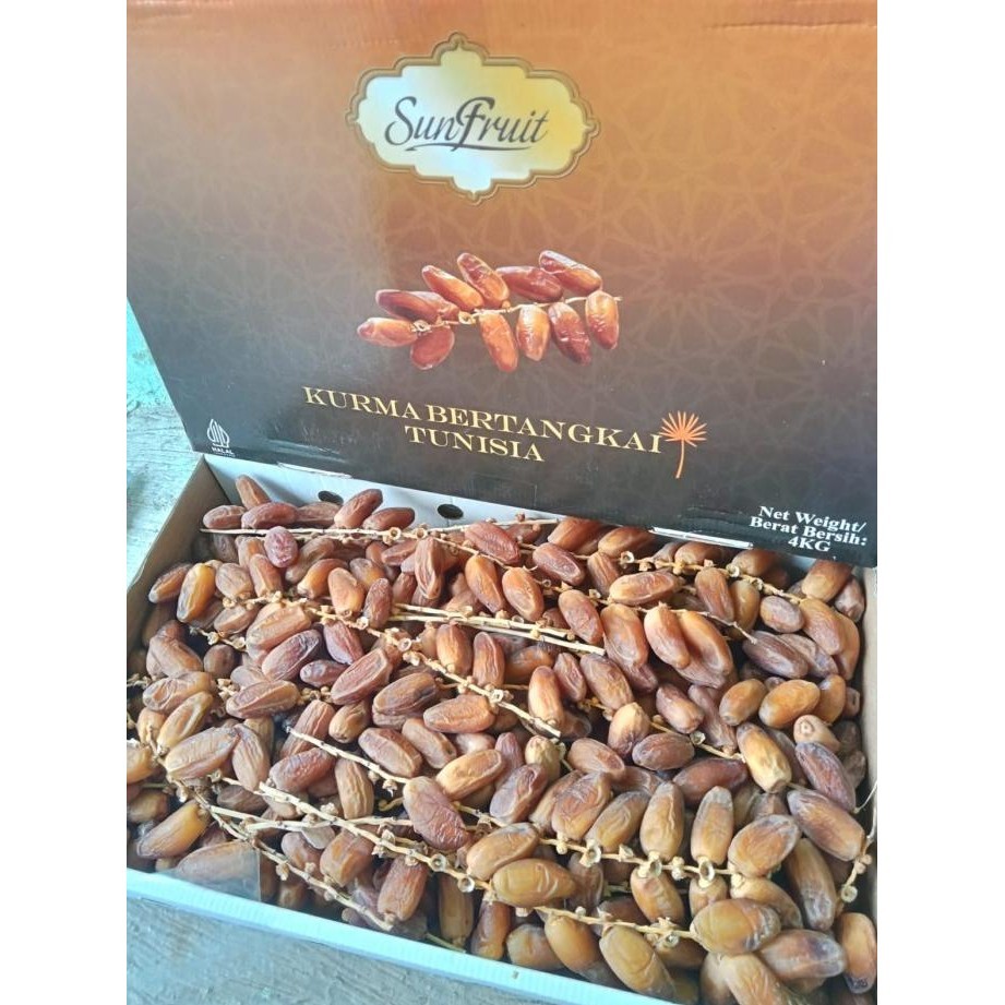 

Kurma Tunisia Tangkai Sunfruit 4Kg Kurmasehat465