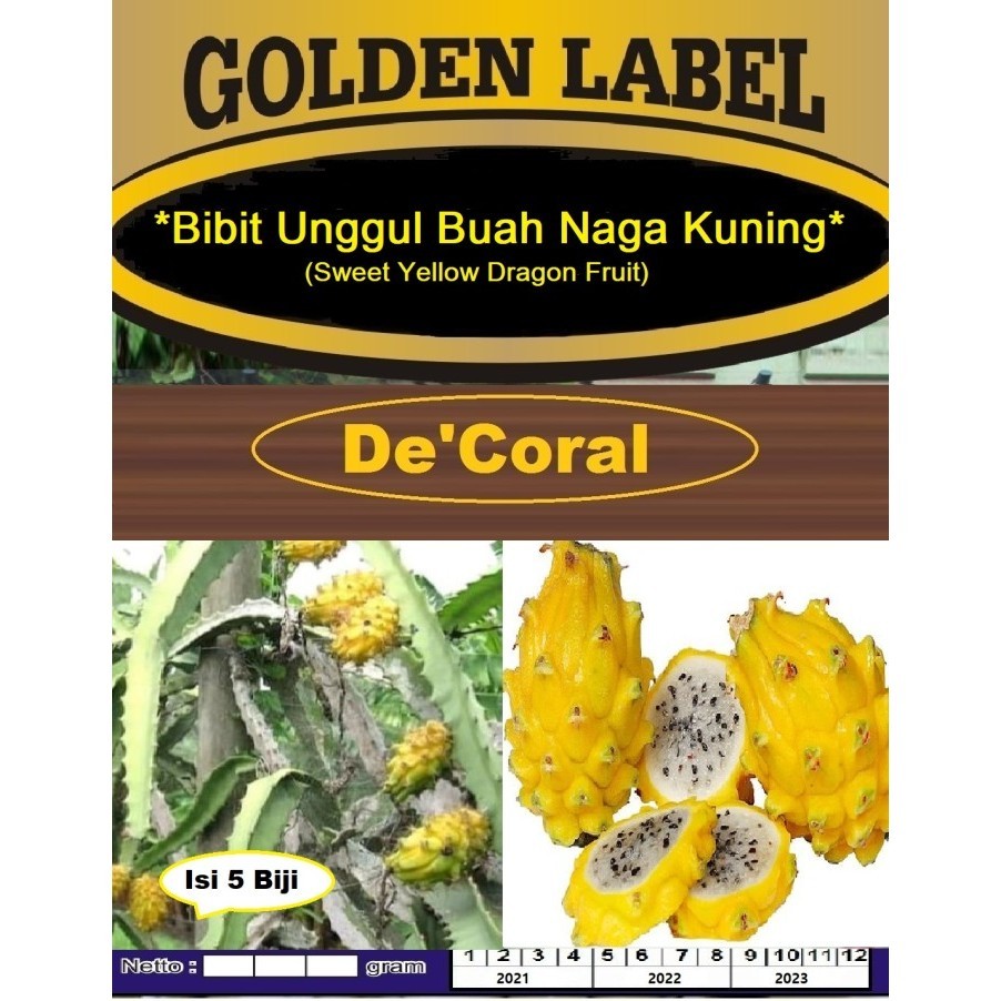 Bibit Unggul Buah Naga Kuning Sweet Yellow Dragon Benih Naga Kuning TOP