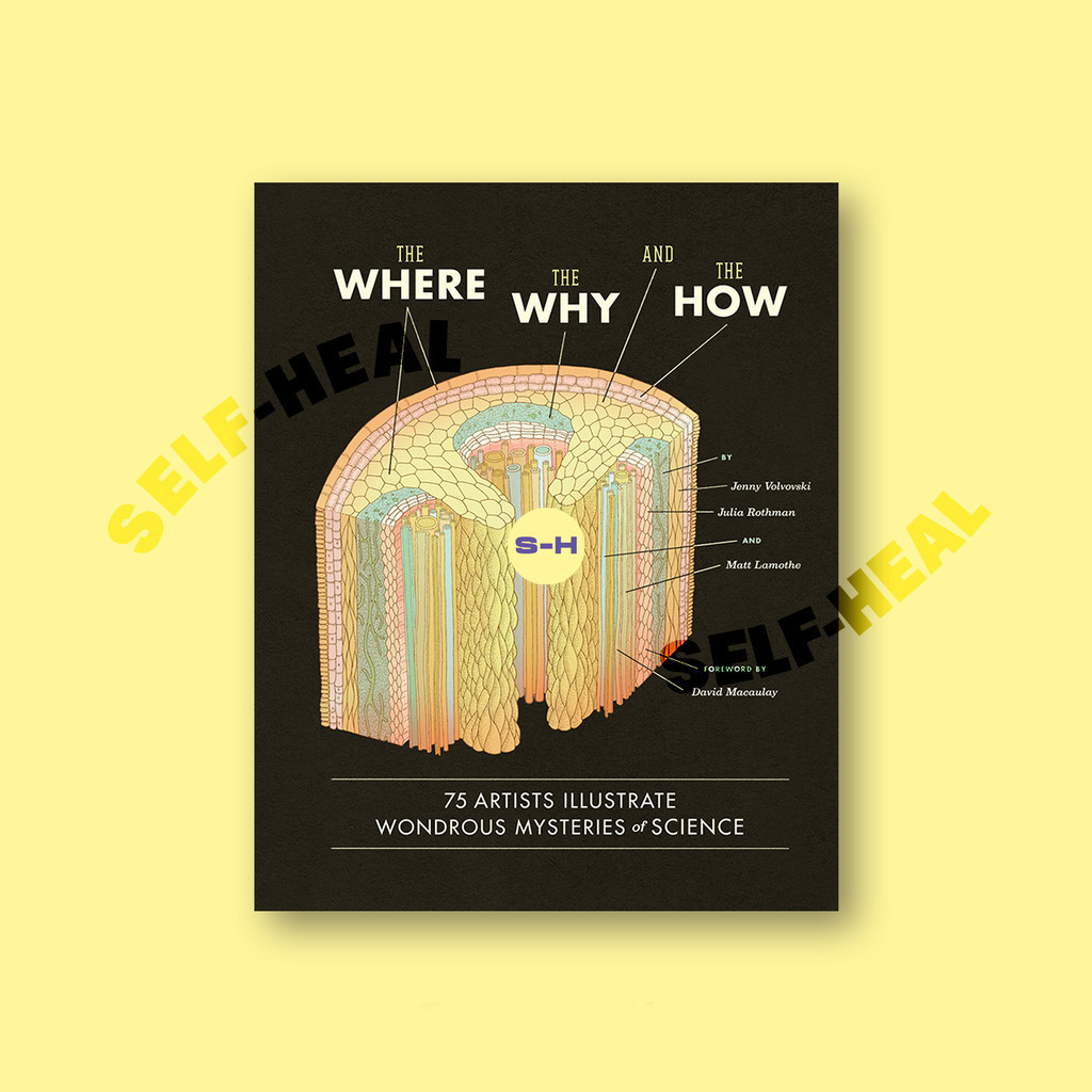 

The Where, the Why, and the How - Matt Lamothe