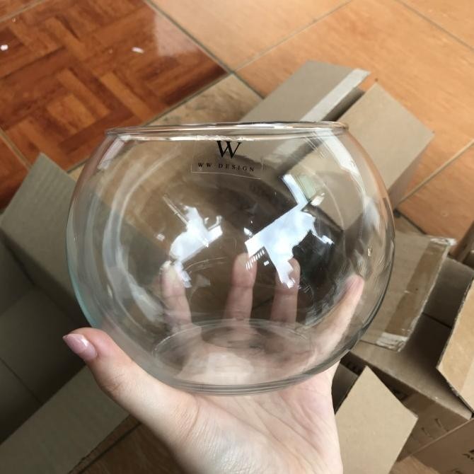 Vas Bunga Bulat Kaca Bening 2 Liter Pot Bunga Kaca Bulat Lucu Cylinder