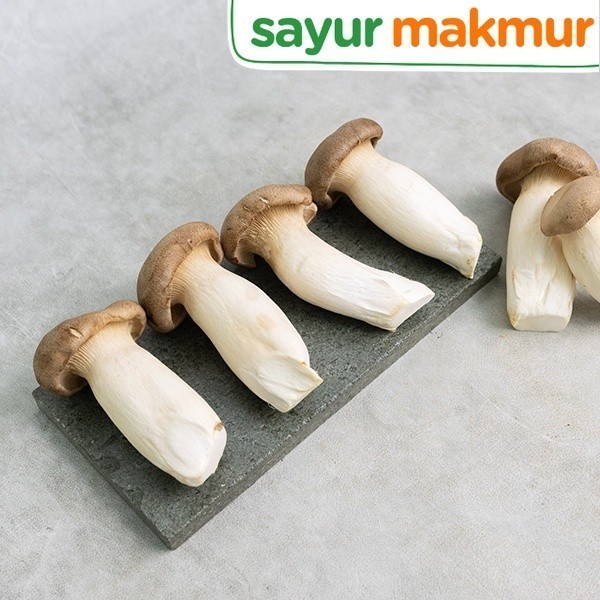 

Jamur King Oyster Impor 200 gram Sayurmakmur