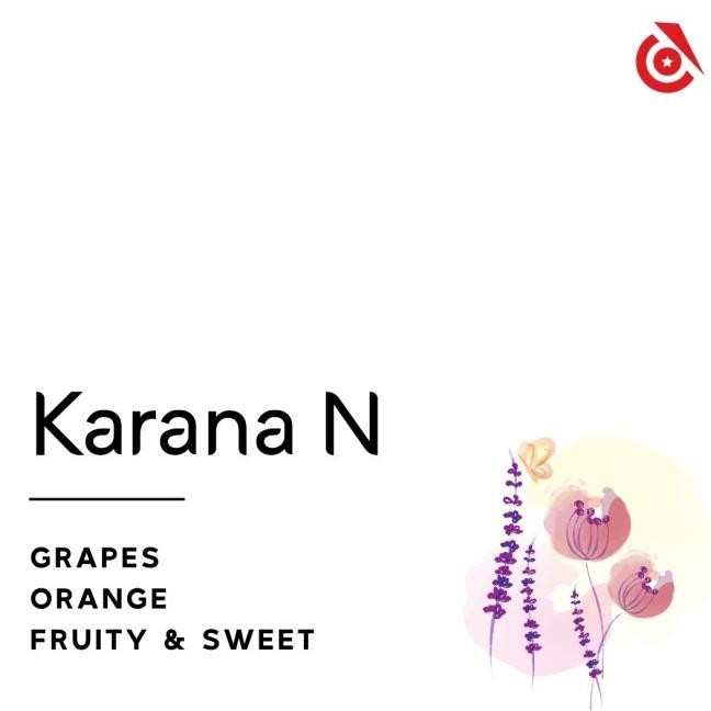 

Termurah! Bali Karana CM Natural - Instinct Coffee - Biji Kopi Kode Ql 274