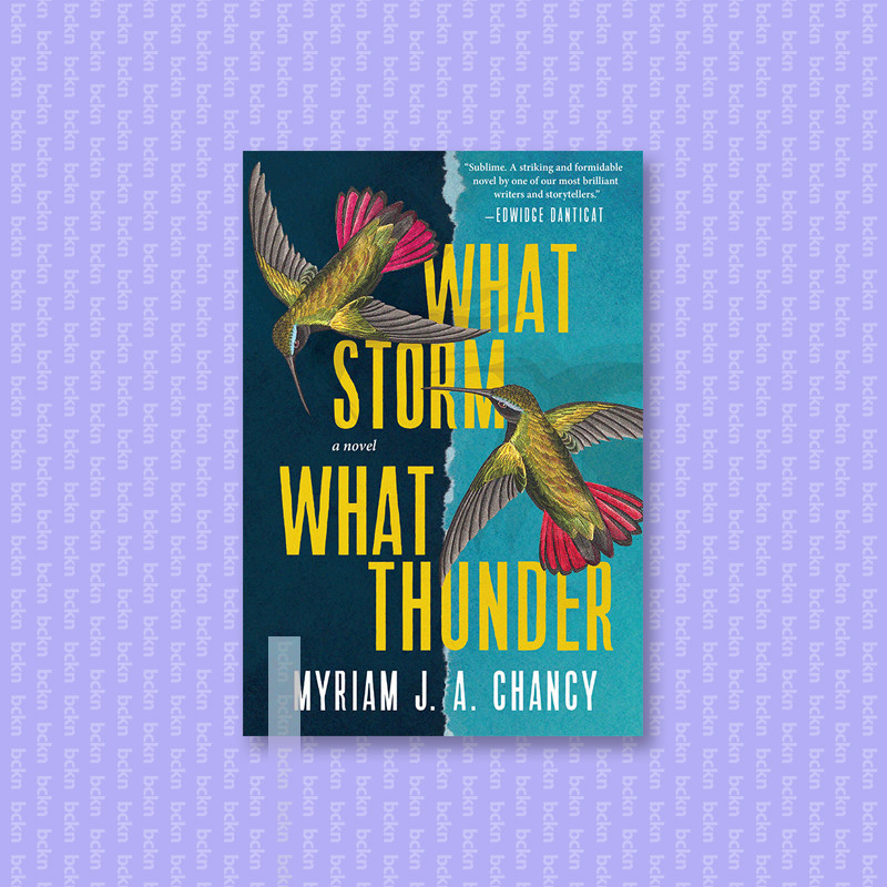

What Storm, What Thunder - Myriam J. A. Chancy