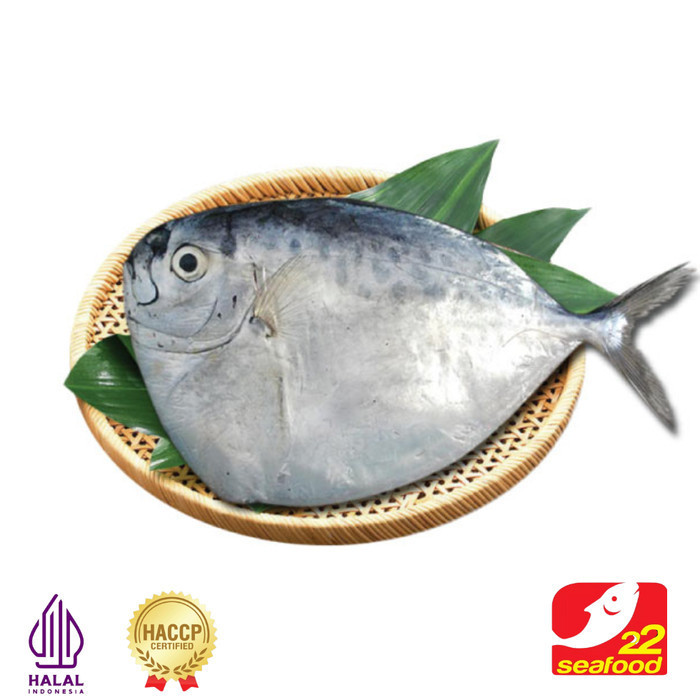 

Ayala - Ikan Semar 1 Kg / Moon Fish / Ikan Laut / Utuh Frozen / Seafood 22