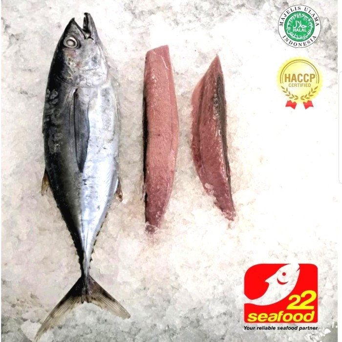 

Ayala - Ikan Baby Tuna / Baby Tuna Fillet 500 Gr / Loin Baby Tuna / Seafood 22