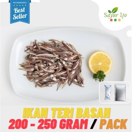 

Ayala - Ikan Teri Basah 200 - 250 Gr / Pack Fresh Salted Fish Seafood Segar