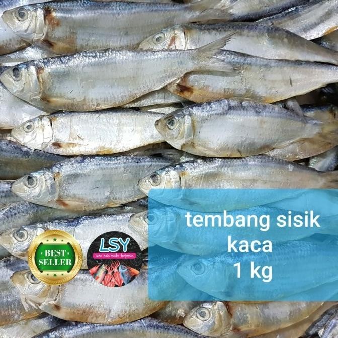 

ikan asin tembang sisik kaca 1kg