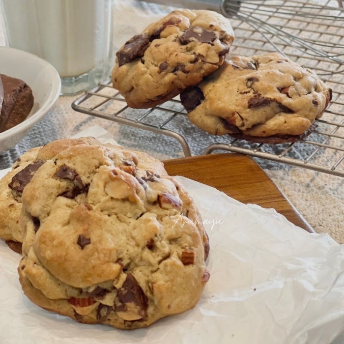 

Gluten Free Levain Bakery Chocochips Cookie