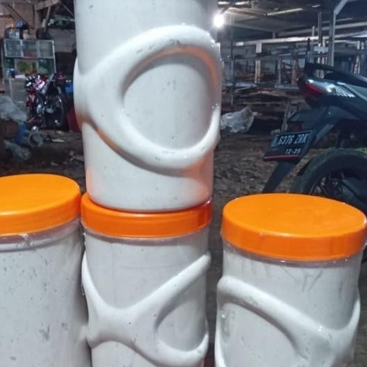 Kucur Umpan Pancing Ikan Baung/Kucur /Kucur 1 Kg/Kucur Gacor