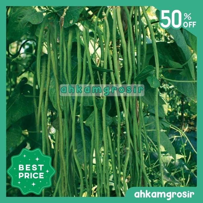 BENIH KACANG PANJANG OR HIJAU STAR 100 GR - ORIENTAL SEED EKSKLUSIF