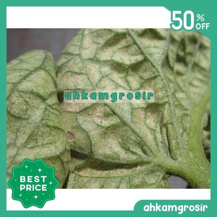 SAMITE 135 EC 100 ML - AKARISIDA INSEKTISIDA - PEMBASMI TUNGAU & LABA TERBAIK