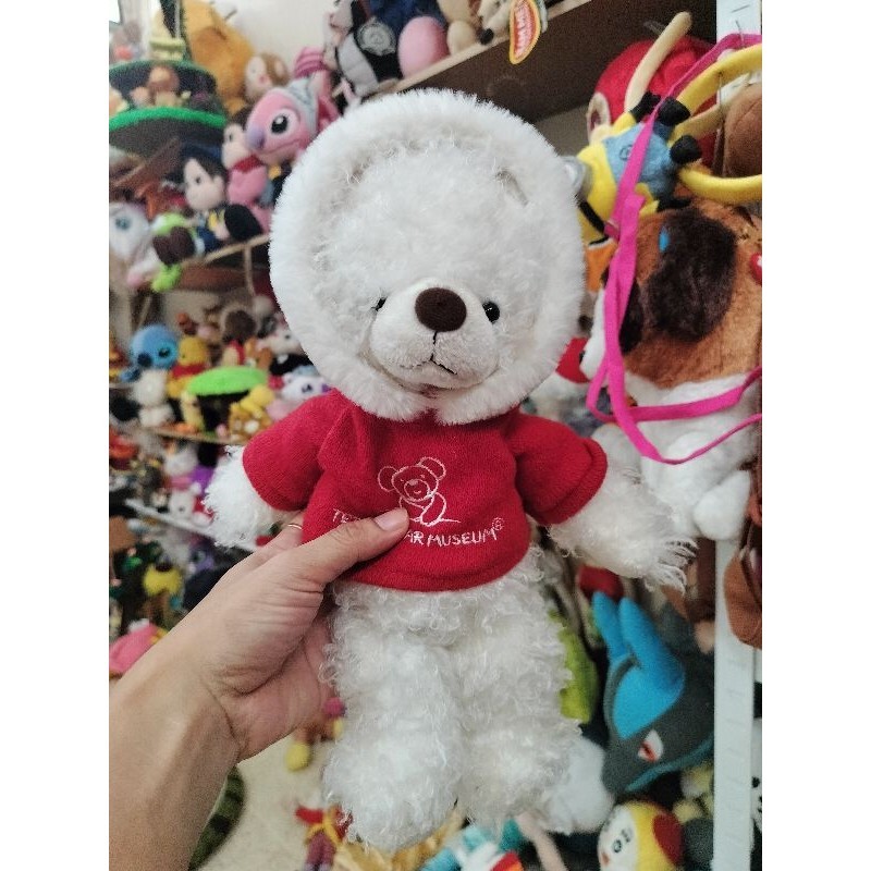 Boneka teddy museum kostum hodie