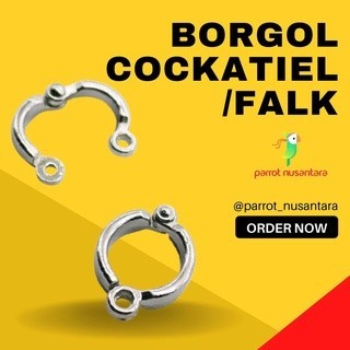 ring borgol burung falk