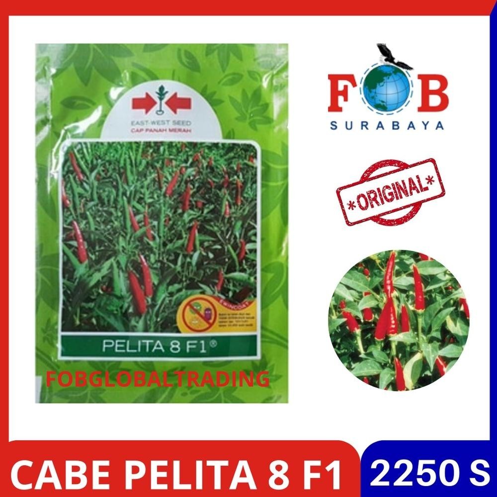 BENIH CABE RAWIT PELITA 8 F1 2250 BUTIR MEREK PANAH MERAH VIRAL