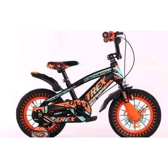 Sepeda Anak 16 Trex Ataransya