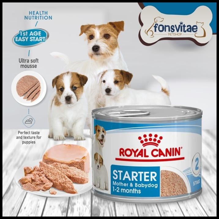 Royal Canin Mini Starter Mousse 195Gr