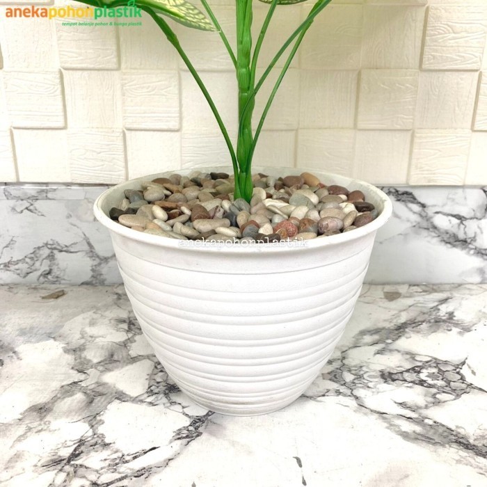 Pohon Sri Rejeki Hijau Artificial Plastik Late/Pohon Sri Rejeki Murah