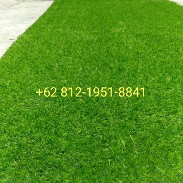 Rumput Sintetis Outdoor Promo Rumput Sintetis Type Swiss