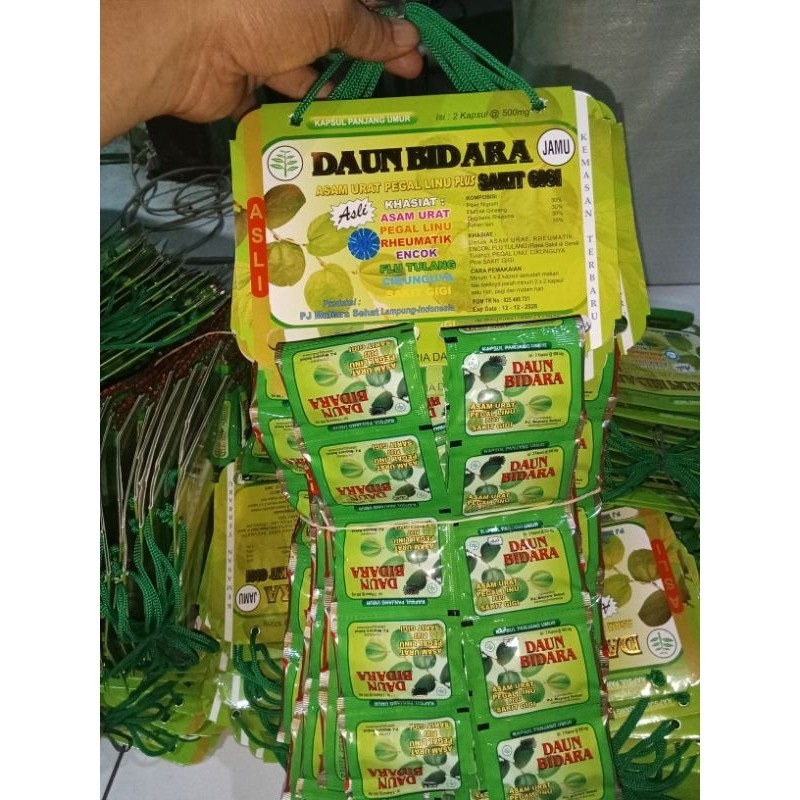daun Bidara kapsul