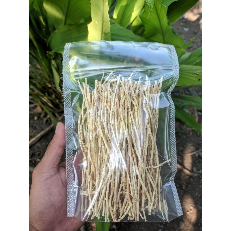 

akar alang alang kering 50 gr herbal alami organik